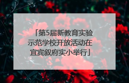 第5届新教育实验示范学校开放活动在宜宾叙府实小举行