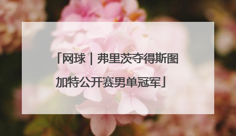 网球｜弗里茨夺得斯图加特公开赛男单冠军