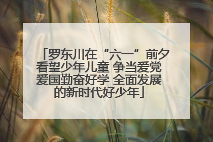 罗东川在“六一”前夕看望少年儿童 争当爱党爱国勤奋好学 全面发展的新时代好少年