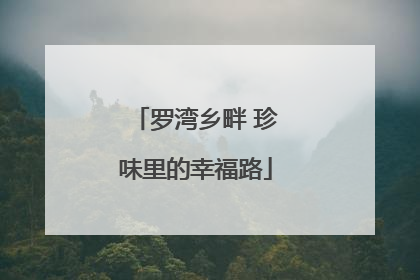 罗湾乡畔 珍味里的幸福路