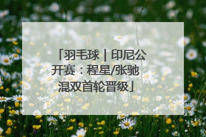 羽毛球｜印尼公开赛：程星/张驰混双首轮晋级