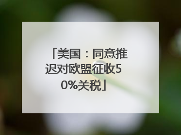 美国：同意推迟对欧盟征收50%关税