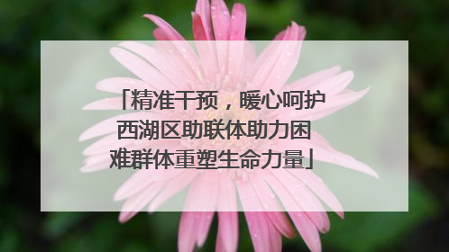 精准干预，暖心呵护 西湖区助联体助力困难群体重塑生命力量