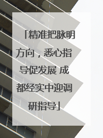 精准把脉明方向，悉心指导促发展 成都经实中迎调研指导