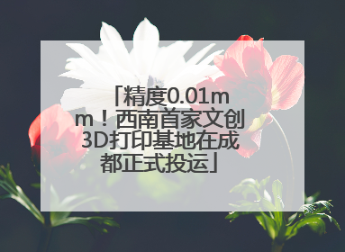 精度0.01mm！西南首家文创3D打印基地在成都正式投运