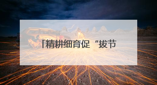精耕细育促“拔节”——孝昌县思想铸魂锻造实干精兵