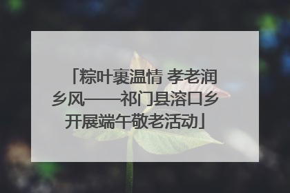 粽叶裹温情 孝老润乡风——祁门县溶口乡开展端午敬老活动