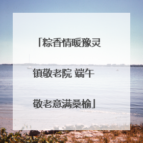 粽香情暖豫灵镇敬老院 端午敬老意满桑榆