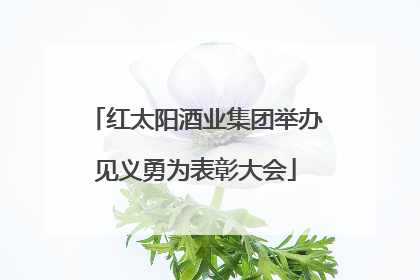 红太阳酒业集团举办见义勇为表彰大会