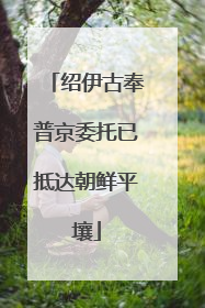 绍伊古奉普京委托已抵达朝鲜平壤