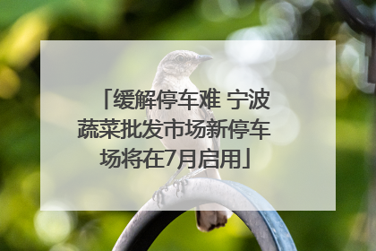 缓解停车难 宁波蔬菜批发市场新停车场将在7月启用