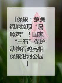 保康：楚源福地惊现“嘎嘎鸡”！国家“三有”保护动物石鸡亮相保康沿河公园