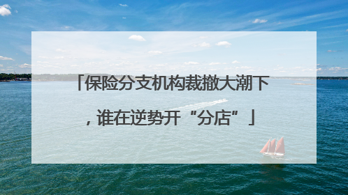 保险分支机构裁撤大潮下，谁在逆势开“分店”
