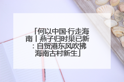 何以中国·行走海南丨燕子归时巢已新：自贸港东风吹拂 海南古村新生
