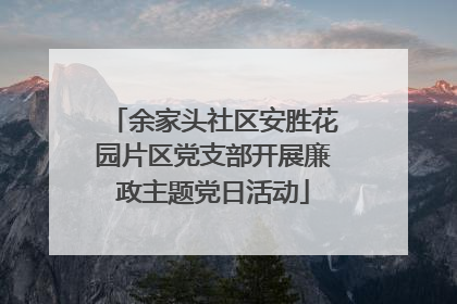 余家头社区安胜花园片区党支部开展廉政主题党日活动