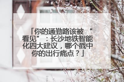 你的通勤路该被 “看见”：长沙地铁智能化四大建议，哪个戳中你的出行痛点？
