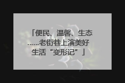 便民、温馨、生态……老街巷上演美好生活“变形记”