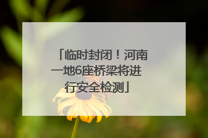 临时封闭！河南一地6座桥梁将进行安全检测