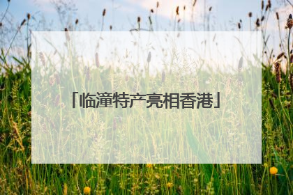 临潼特产亮相香港