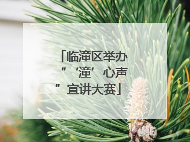 临潼区举办“‘潼’心声”宣讲大赛