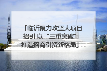 临沂聚力攻坚大项目招引 以“三重突破”打造招商引资新格局