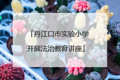 丹江口市实验小学开展法治教育讲座