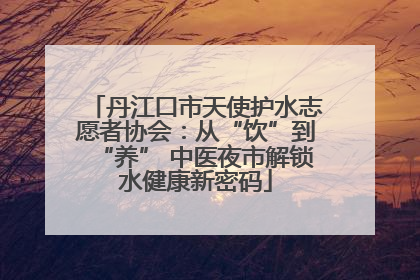 丹江口市天使护水志愿者协会：从“饮”到“养” 中医夜市解锁水健康新密码