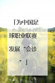 为中国足球职业联赛发展“会诊”