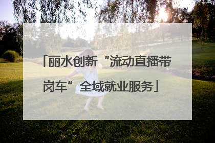 丽水创新“流动直播带岗车”全域就业服务