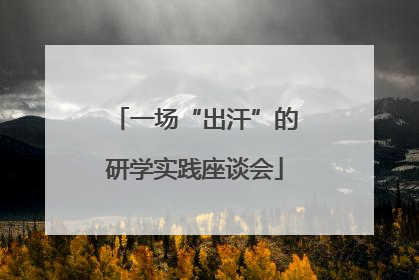一场“出汗”的研学实践座谈会