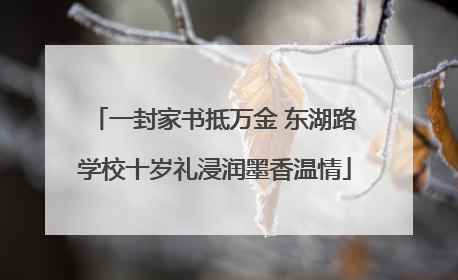 一封家书抵万金 东湖路学校十岁礼浸润墨香温情