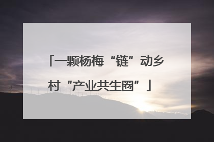 一颗杨梅“链”动乡村“产业共生圈”