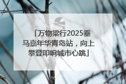 万物梁行2025垂马嘉年华青岛站，向上攀登叩响城市心跳