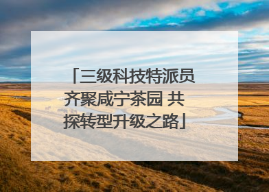 三级科技特派员齐聚咸宁茶园 共探转型升级之路
