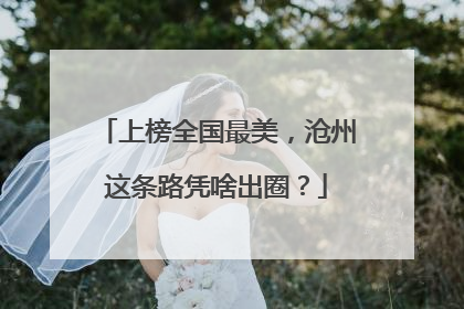 上榜全国最美，沧州这条路凭啥出圈？