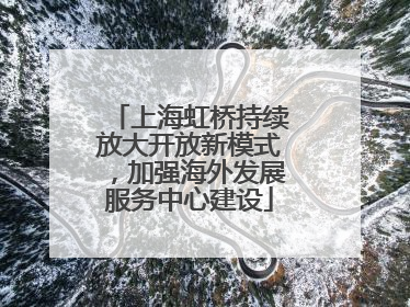 上海虹桥持续放大开放新模式，加强海外发展服务中心建设