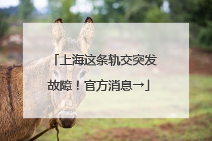 上海这条轨交突发故障！官方消息→