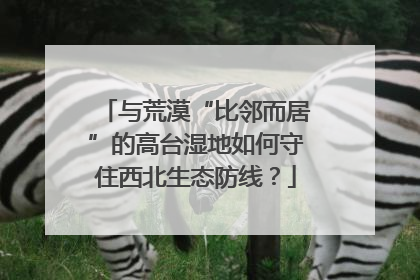 与荒漠“比邻而居”的高台湿地如何守住西北生态防线？