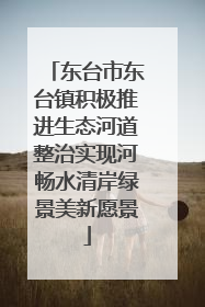 东台市东台镇积极推进生态河道整治实现河畅水清岸绿景美新愿景