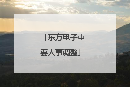 东方电子重要人事调整