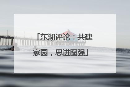 东湖评论：共建家园，思进图强