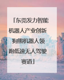 东莞发力智能机器人产业创新 狗熊机器人领跑低速无人驾驶赛道