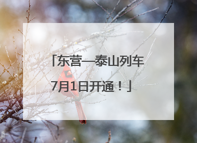 东营—泰山列车7月1日开通！