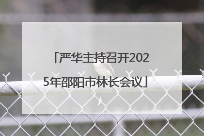 严华主持召开2025年邵阳市林长会议