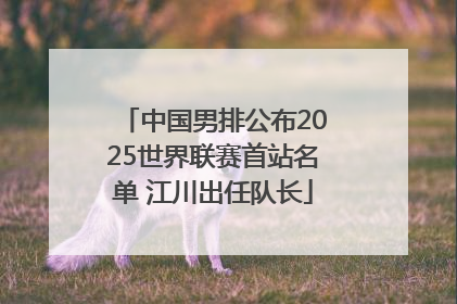 中国男排公布2025世界联赛首站名单 江川出任队长