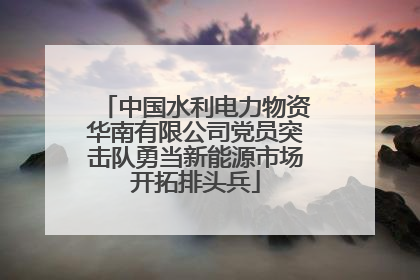 中国水利电力物资华南有限公司党员突击队勇当新能源市场开拓排头兵