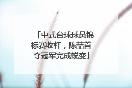 中式台球球员锦标赛收杆，陈喆首夺冠军完成蜕变
