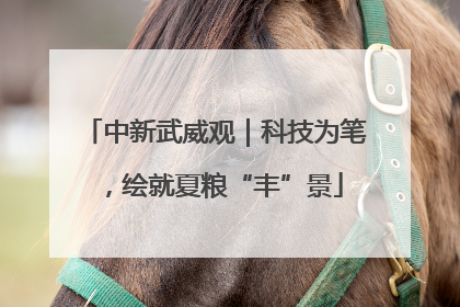中新武威观｜科技为笔，绘就夏粮“丰”景