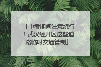 中考期间注意绕行！武汉经开区这些道路临时交通管制