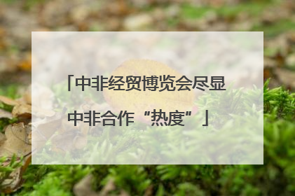 中非经贸博览会尽显中非合作“热度”